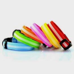 Pet Dog Collar: Led Safety Light-up Flashing Glow	 06-1206 gmtpet.shop