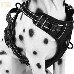 Pet Factory wholesale Amazon Ebay Wish hot large mesh dog harness 109-0001 gmtpet.shop