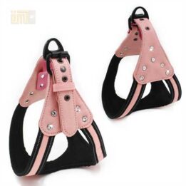 GMTPET Pet factory wholesale Pet dog car harness for girls 109-0007 gmtpet.shop