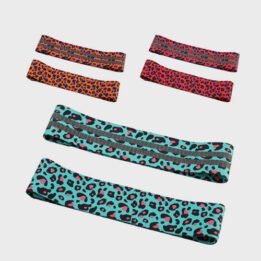 Custom New Product Leopard Squat With Non-slip Latex Fabric Resistance Bands gmtpet.shop