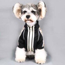 2020 Dog Coat Spring Autumn Pet Clothing Small Designer Dog Clothes gmtpet.shop
