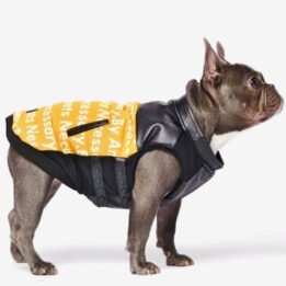 Pet Dog Clothes Vest Padded Dog Jacket Cotton Clothing for Winter gmtpet.shop