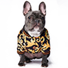 Wholesale Pet Apparel, Puppy Sweaters & Dog Clothes From Factory In China