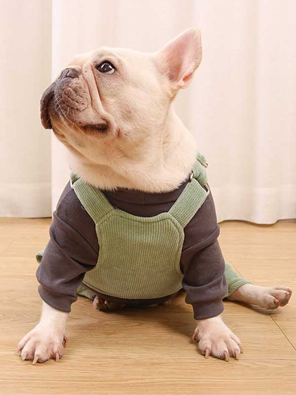 GMTPET French fighting clothes high elastic comfortable solid color plus velvet thick bottoming shirt T-shirt bulldog dog clothes 107-222016 gmtpet.shop