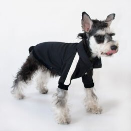 Sport Pet Clothes Custom Fashion Dog BomberJacket Blank Dog Clothes gmtpet.shop