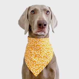 2020 New Custom Summer Triangle Bandana Personalized Pet Accessories Cat Dog Triangle Scarf Pet products factory wholesaler, OEM Manufacturer & Supplier gmtpet.shop