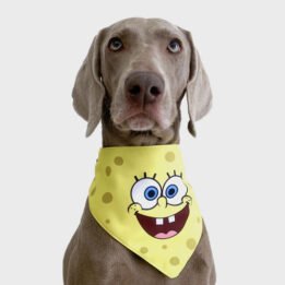 New Product Yellow Cartoon Cute Duck triangle scarf Pet Saliva Towel gmtpet.shop