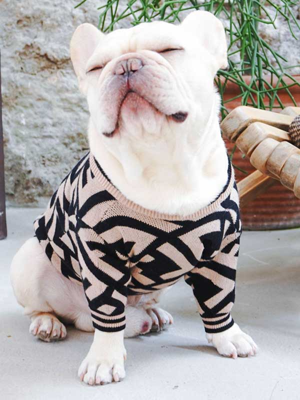 Pet Apparel Supplier Luxury Knitted Dog Sweater Warm Pet Winter Dog Clothes 06-1392-1
