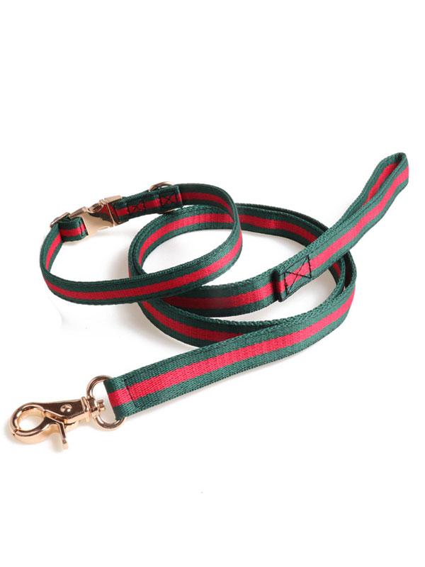 Factory Wholesale Pet Collar Nylon Webbing Dog Leash Rope Dog Collar Heavy Duty Dog Leash With Full Metal Buckle 06-1608 gmtpet.shop