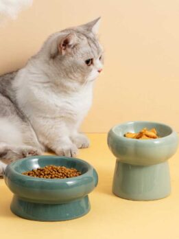 Tigela de cerâmica para gato tigela para comida de gato tigela para beber cachorro 123-12011 gmtpet.shop